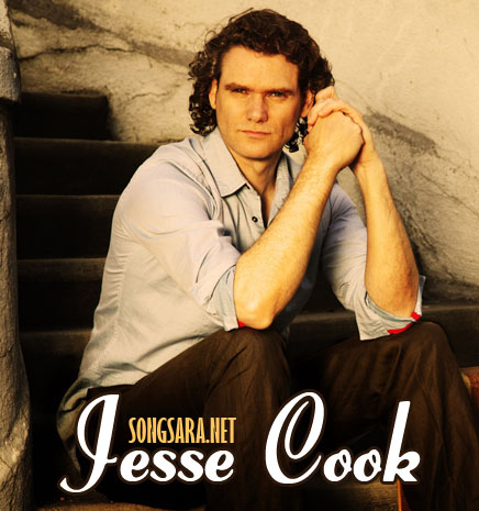 http://dl2.songsara.net/Discography%20Pictures/Jesse%20Cook%20Discography.jpg
